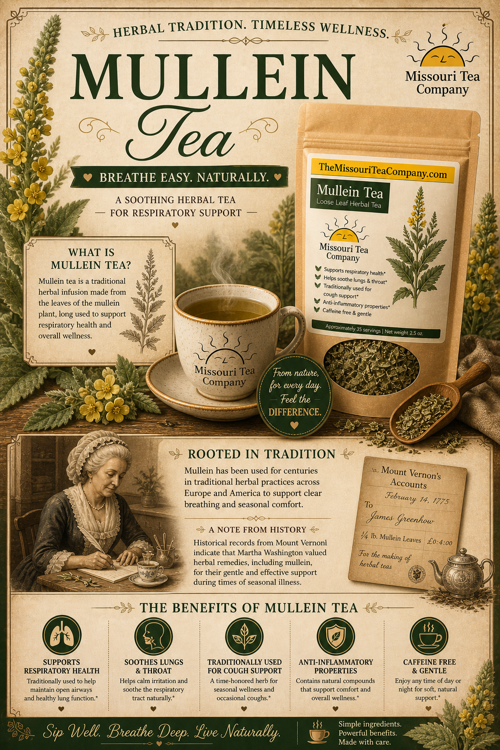 Tea Mo Using Wild Crafted Mullein Tea | Missouri Tea Company – The Missouri Tea Company